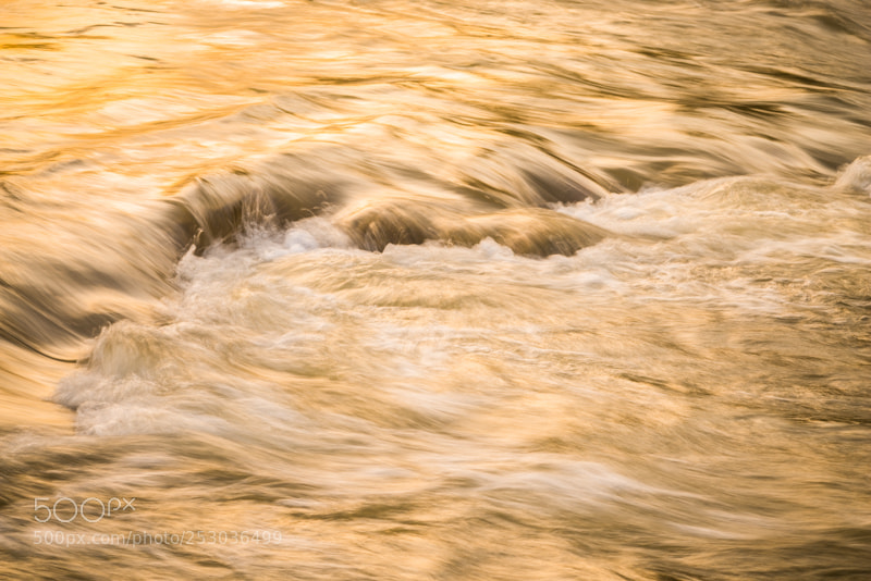 Pentax K-1 sample photo. "golden" san photography