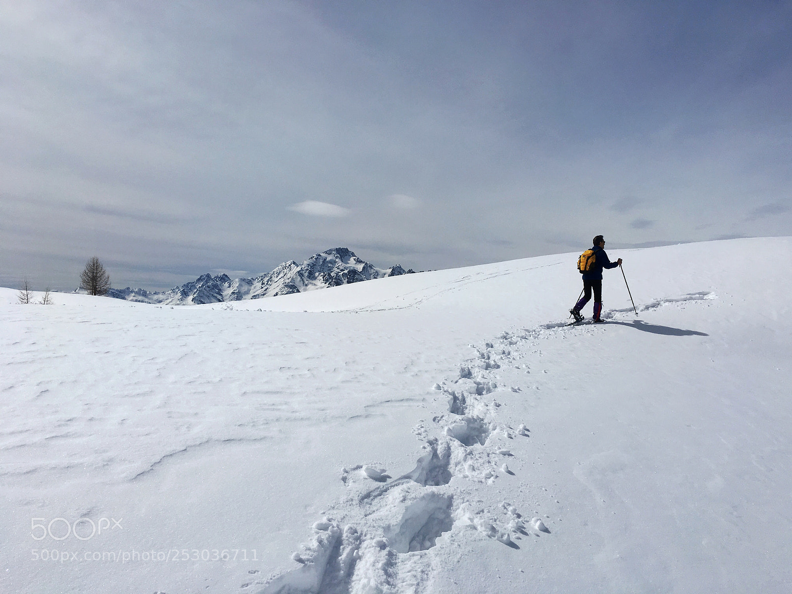 Apple iPhone 6s sample photo. Walking in the powder photography