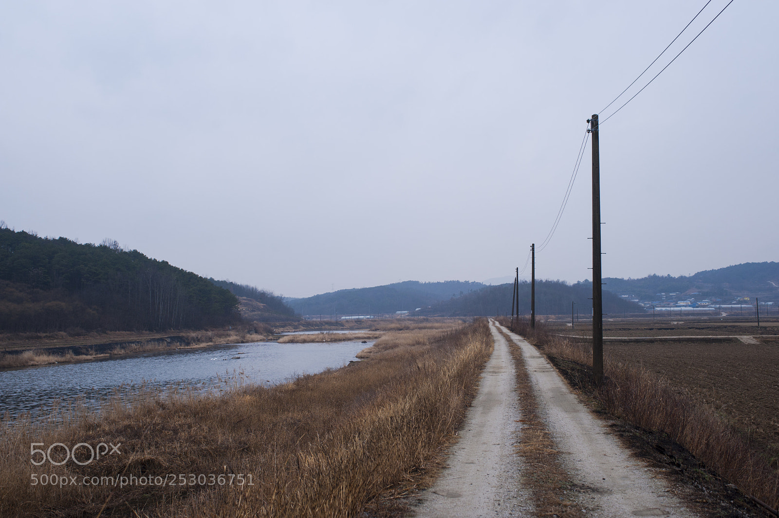 Nikon D700 sample photo. On the road 4 photography
