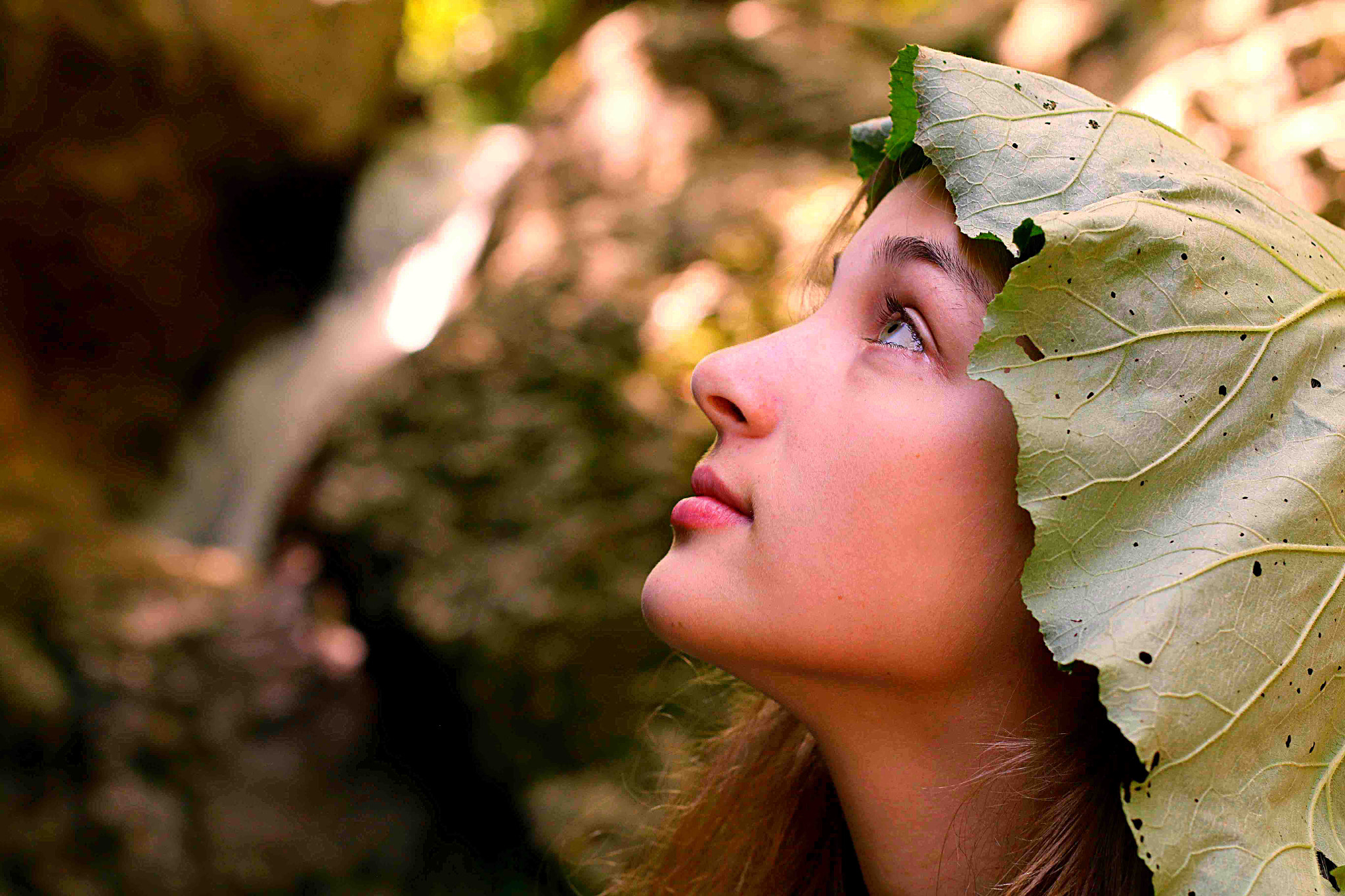 Canon EOS 70D + Canon EF 50mm F1.4 USM sample photo. Gozdna vila photography