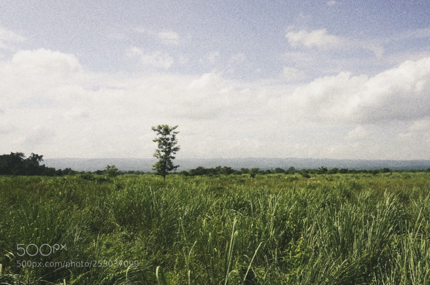 Sony a6000 sample photo. Shoot in chitwan，nepal photography