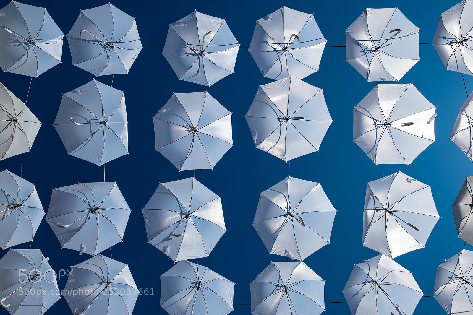 Fujifilm X-T2 sample photo. Umbrella(s) photography