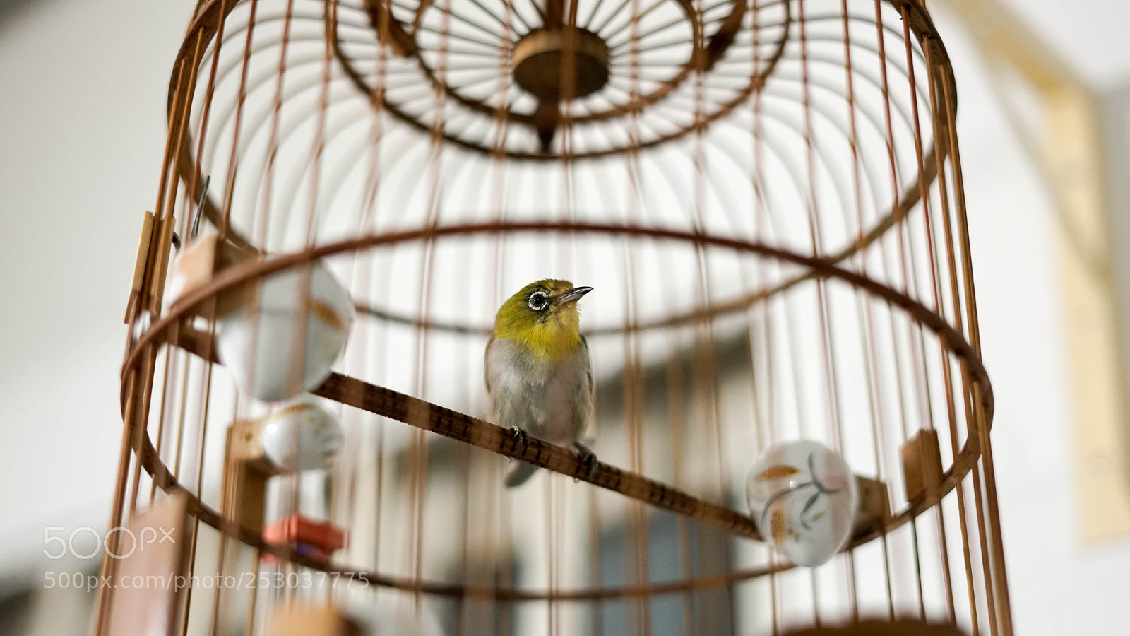 Sony a7 II sample photo. Dsc photography
