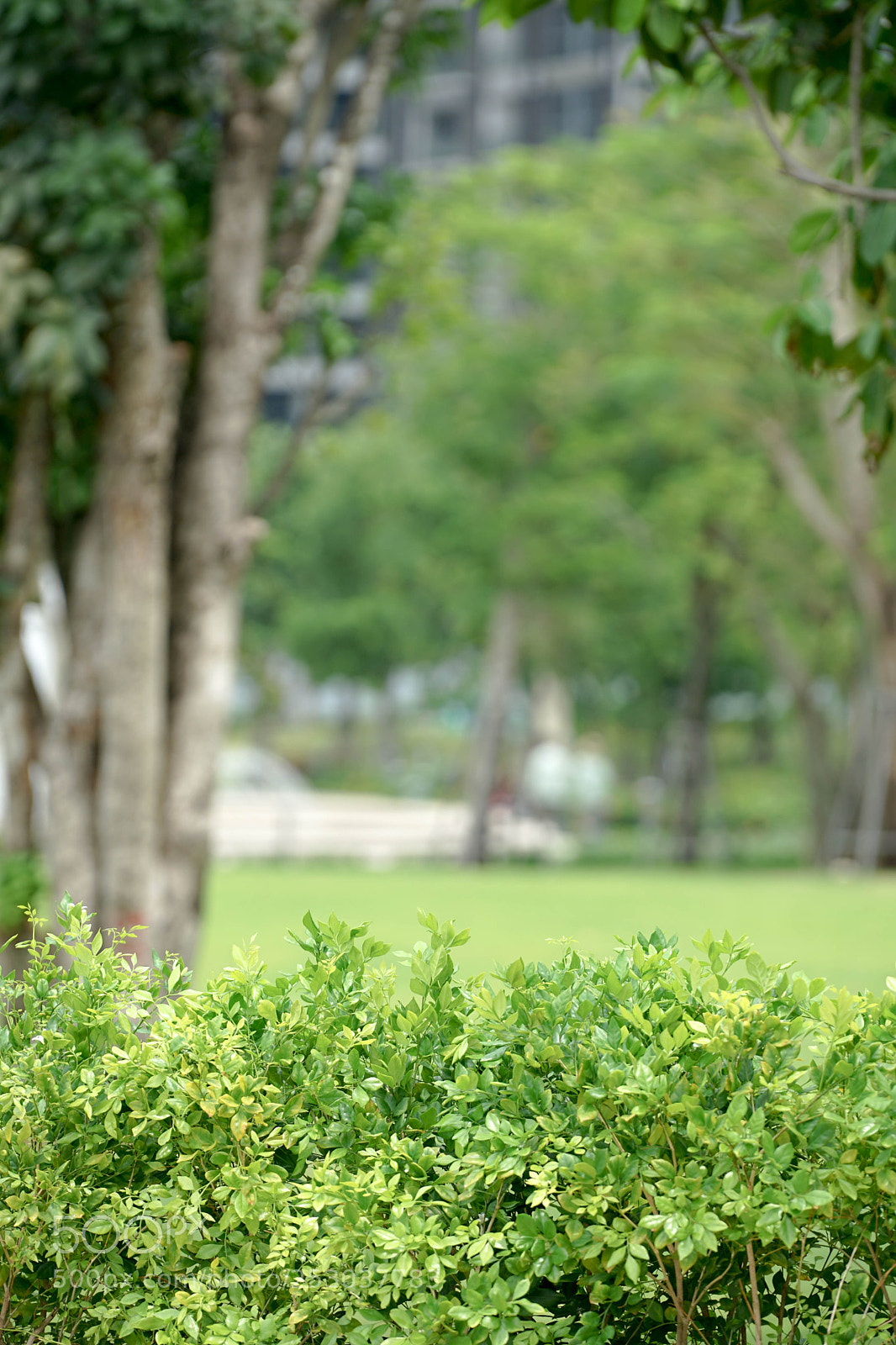 Sony a7 II sample photo. Dsc photography