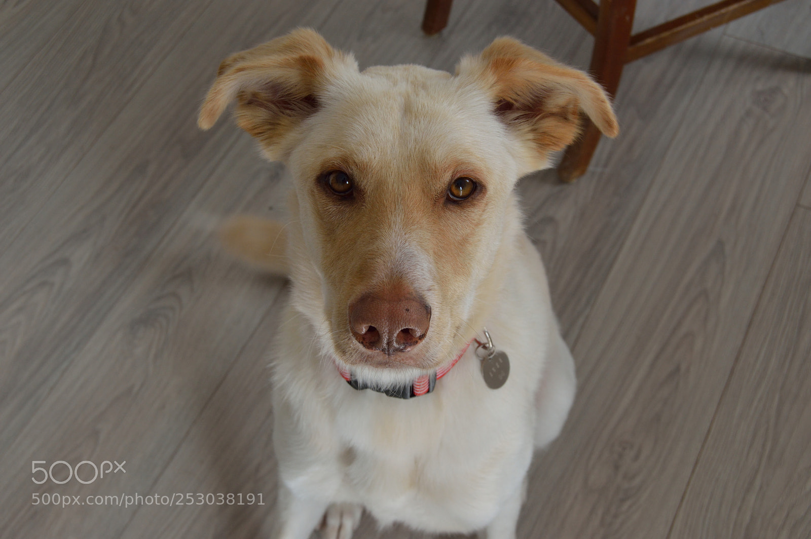 Nikon D3200 sample photo. Sundays photography