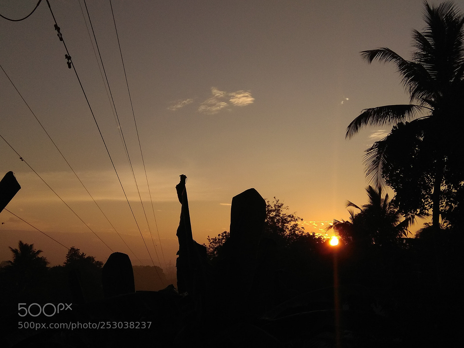 Xiaomi Redmi Note 4 sample photo. Good morning click photography