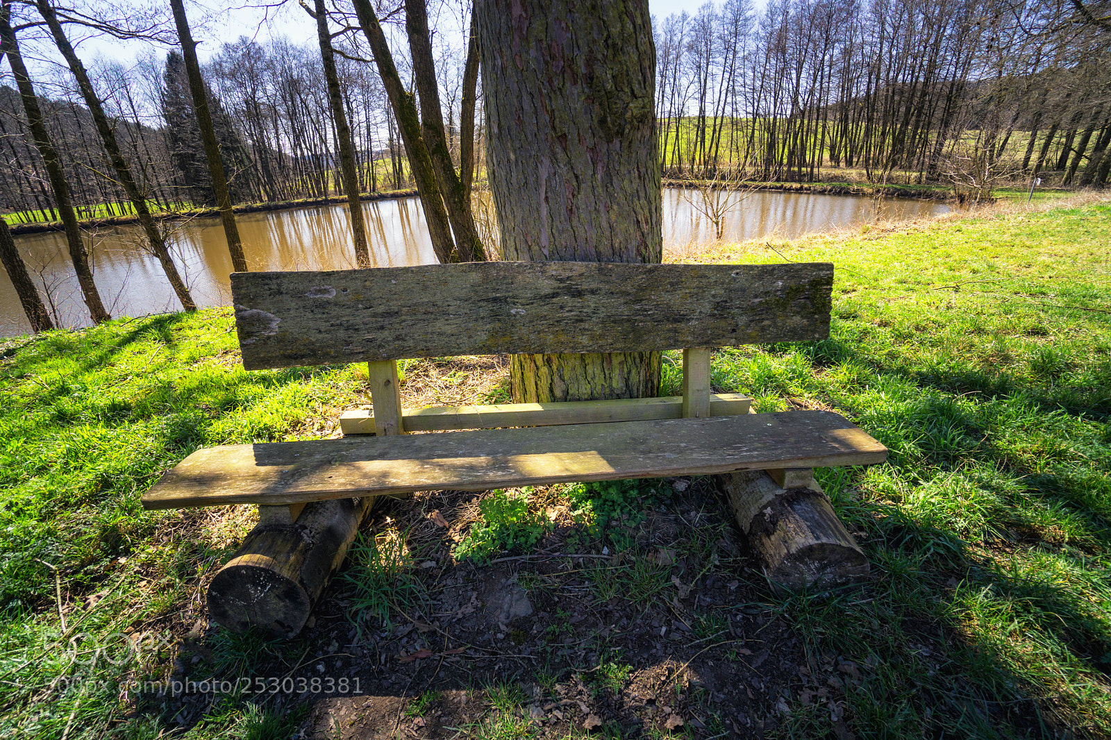 Sony a6000 sample photo. Weathered and wooden bench photography