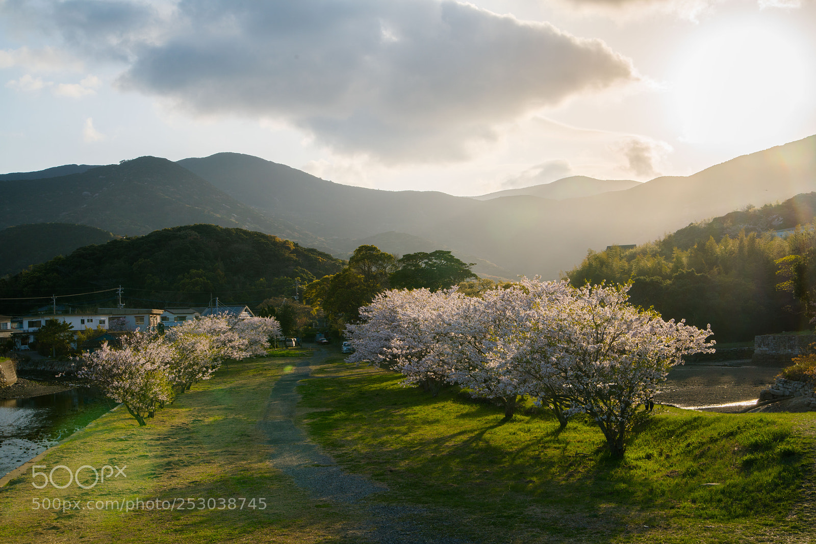 Sony a7R II sample photo. Tsushima 対馬 photography
