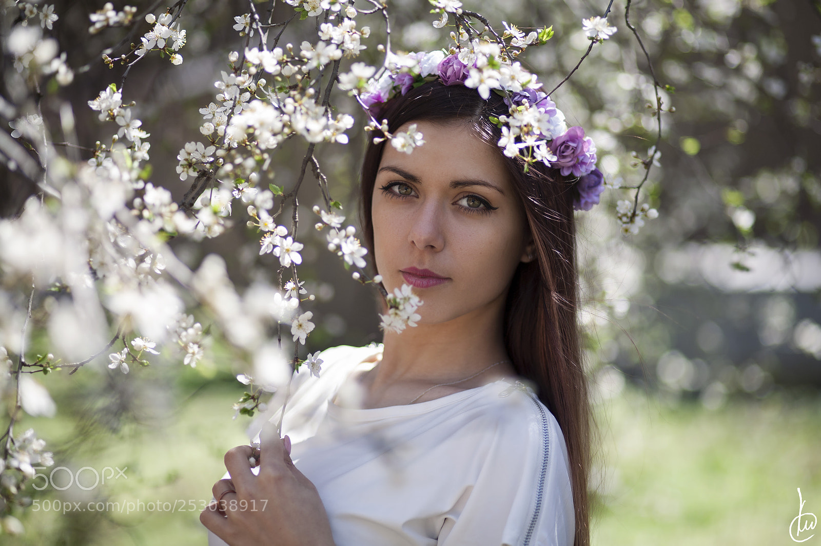 Canon EOS 5D sample photo. A. photography