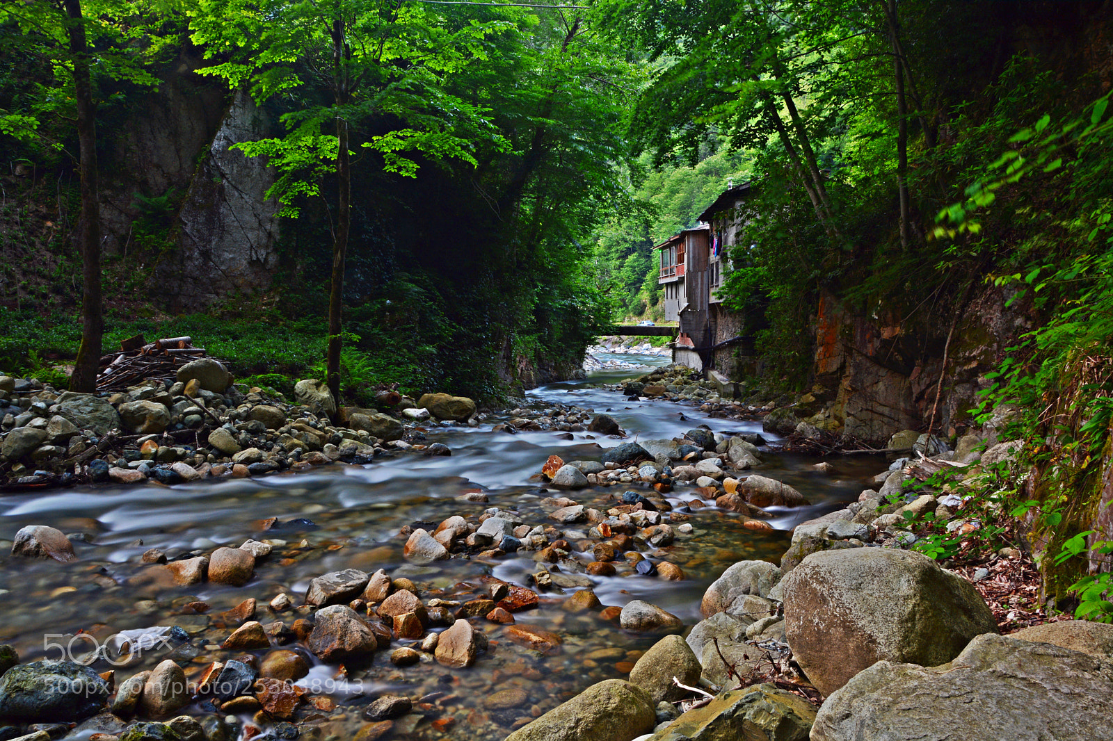 Nikon D7100 sample photo. şşş photography