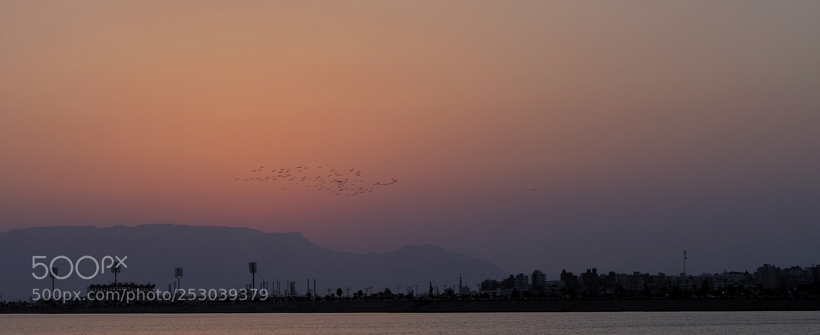 Fujifilm X-T2 sample photo. هجره الطيور photography