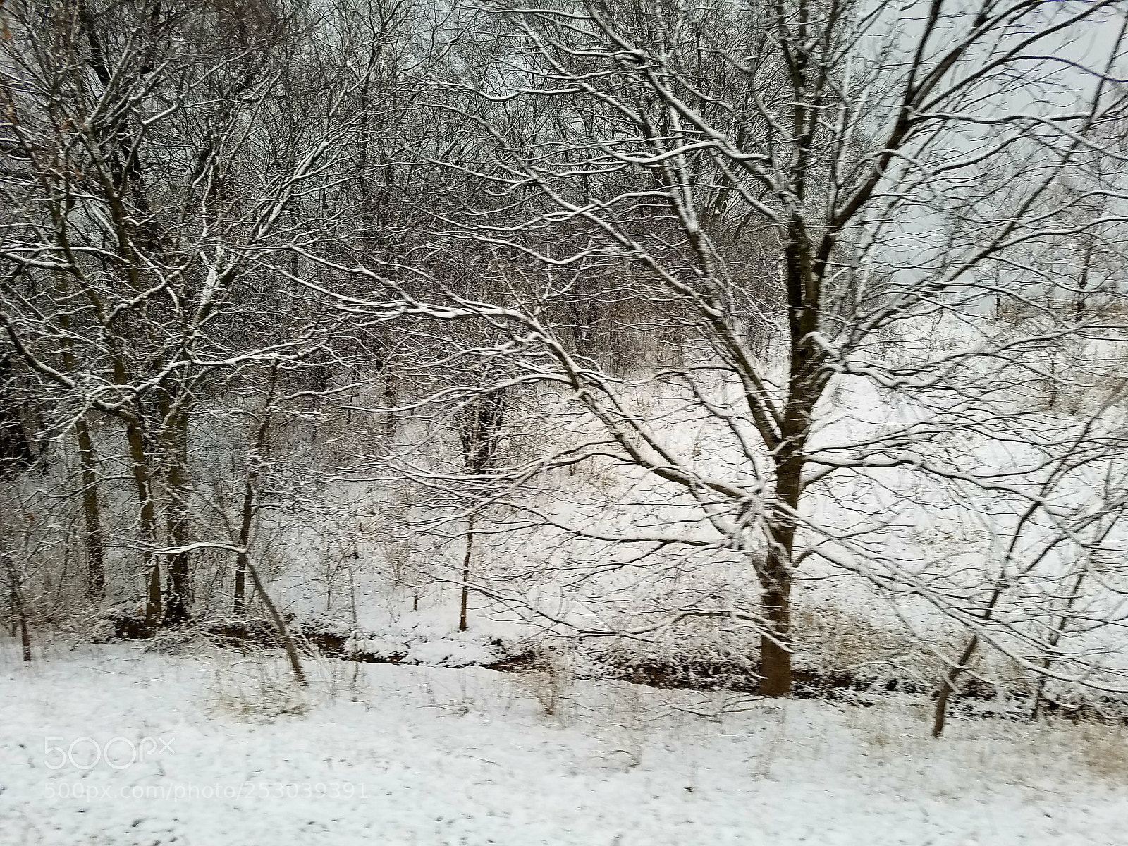 Samsung Galaxy S7 sample photo. More snow... photography