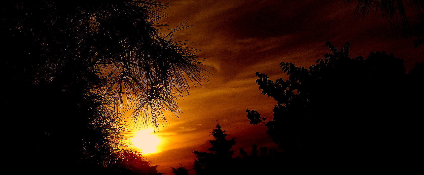 Fujifilm FinePix SL1000 sample photo. Sunset .... photography