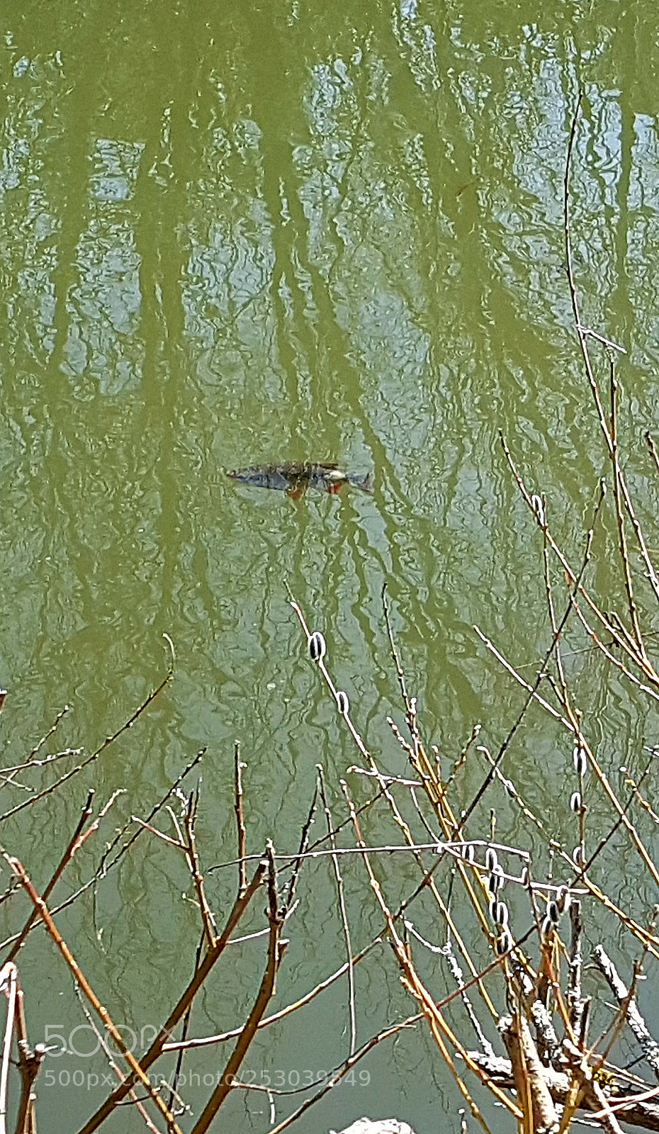 Samsung Galaxy S7 sample photo. Untitled photography