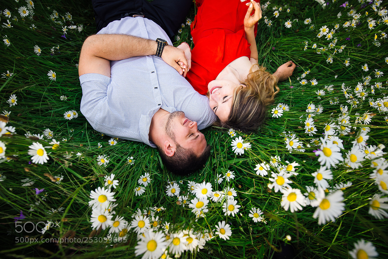 Nikon D800 sample photo. Above close-up portrait of photography
