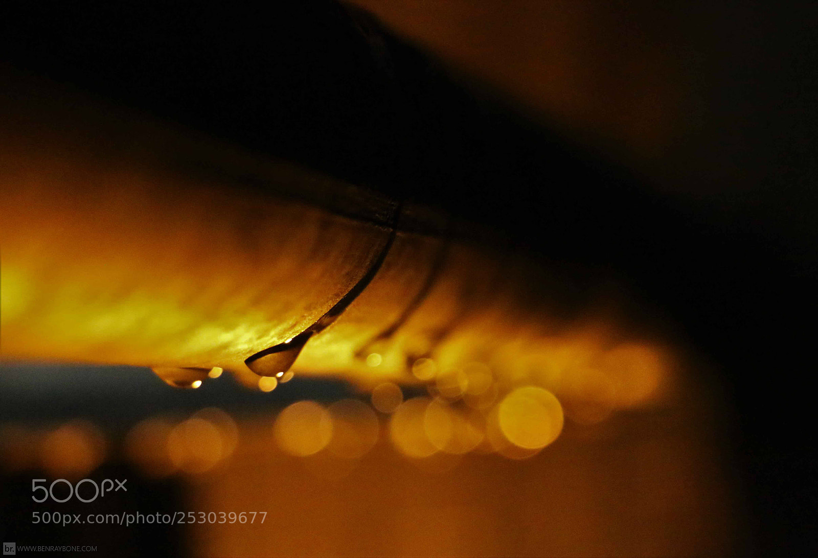 Canon EOS 70D sample photo. Untitled photography
