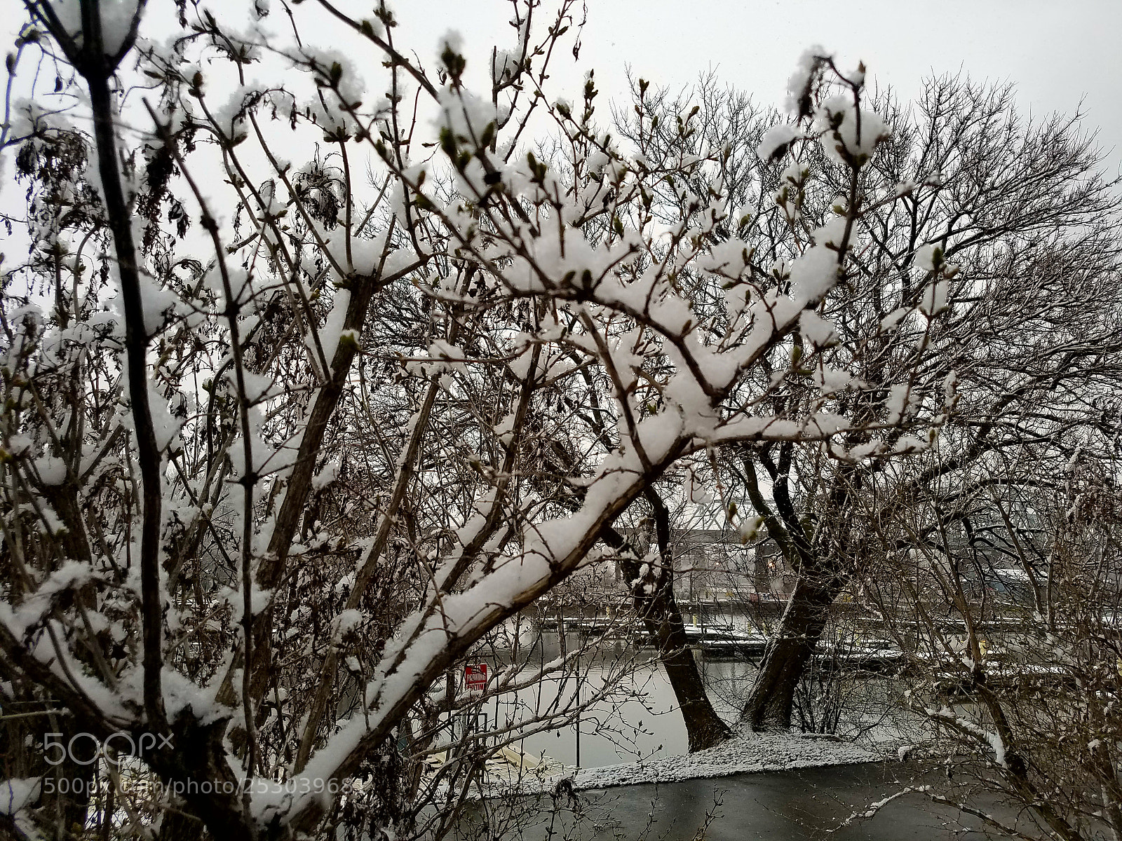 Samsung Galaxy S7 sample photo. Close to... photography