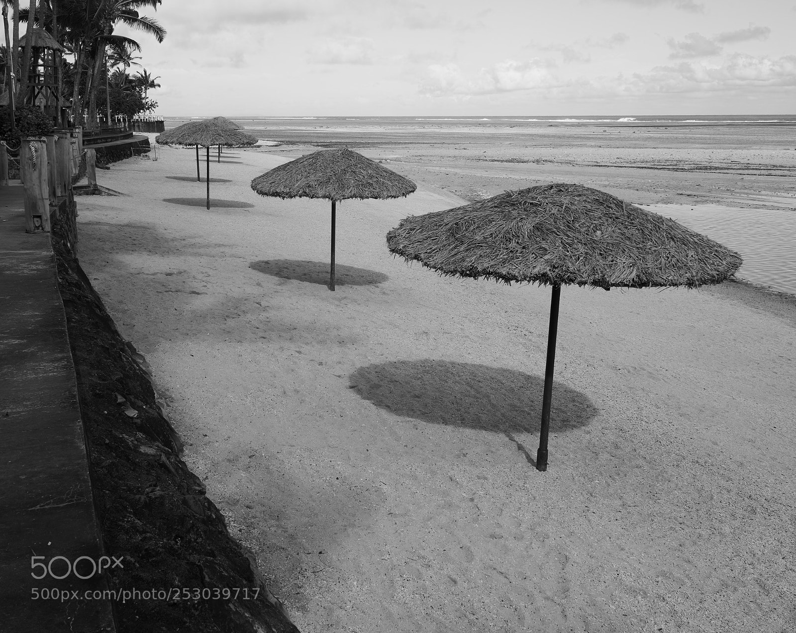 Sony a7 sample photo. Shady photography