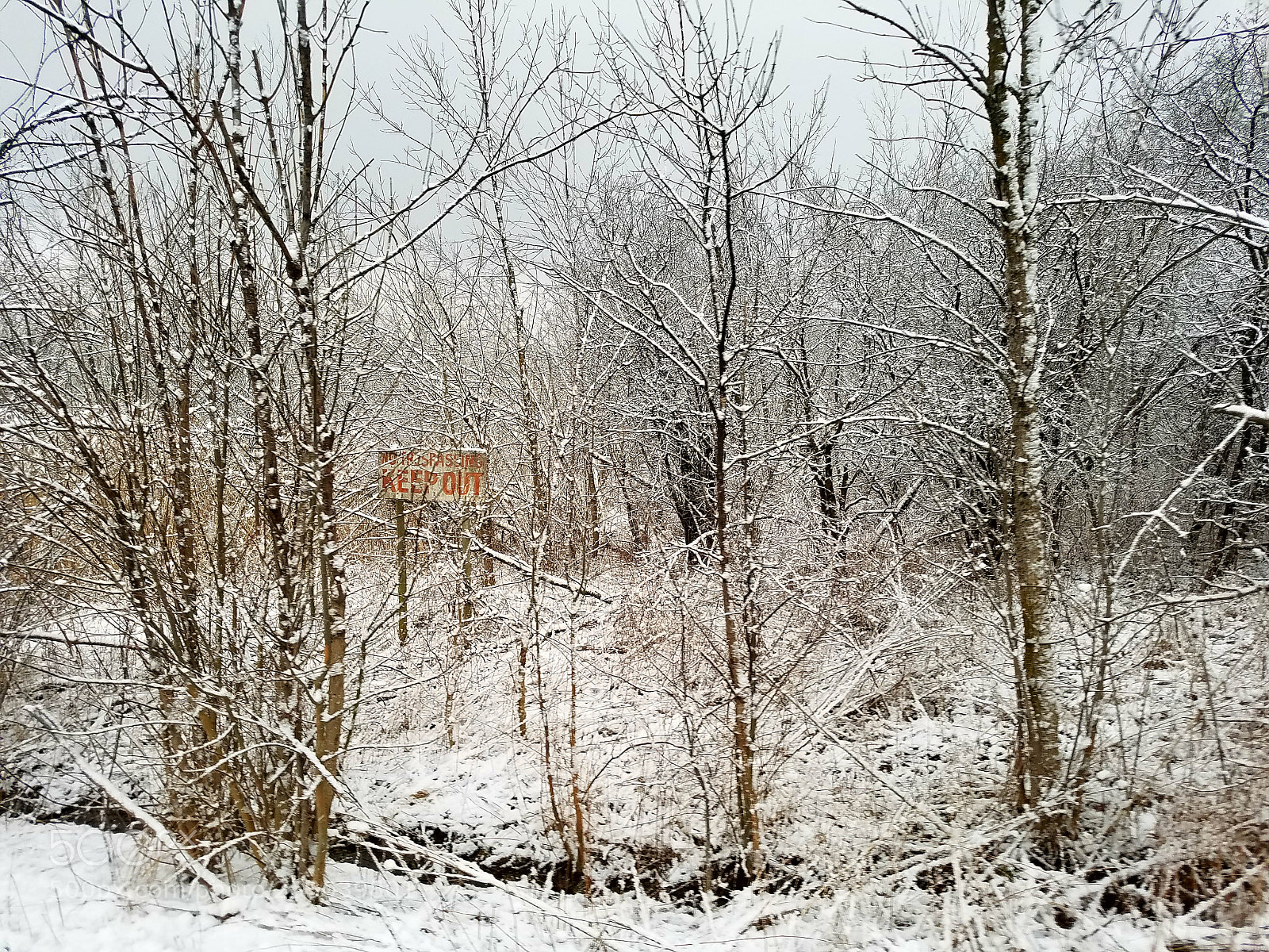 Samsung Galaxy S7 sample photo. Keep out snow... photography