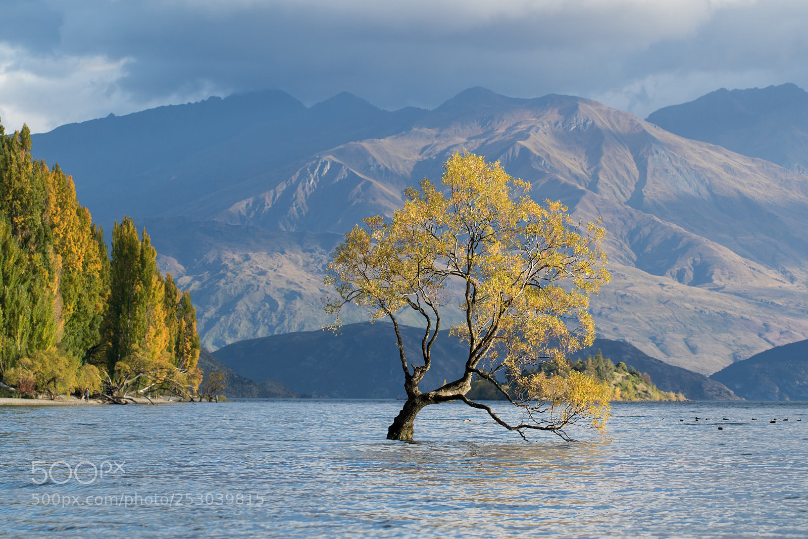 Canon EOS 7D Mark II sample photo. #thatwanakatree photography