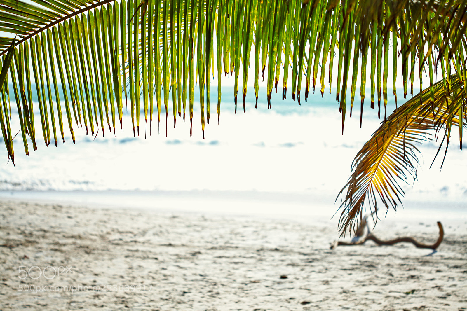 Canon EOS 5D Mark II sample photo. Costa rica photography