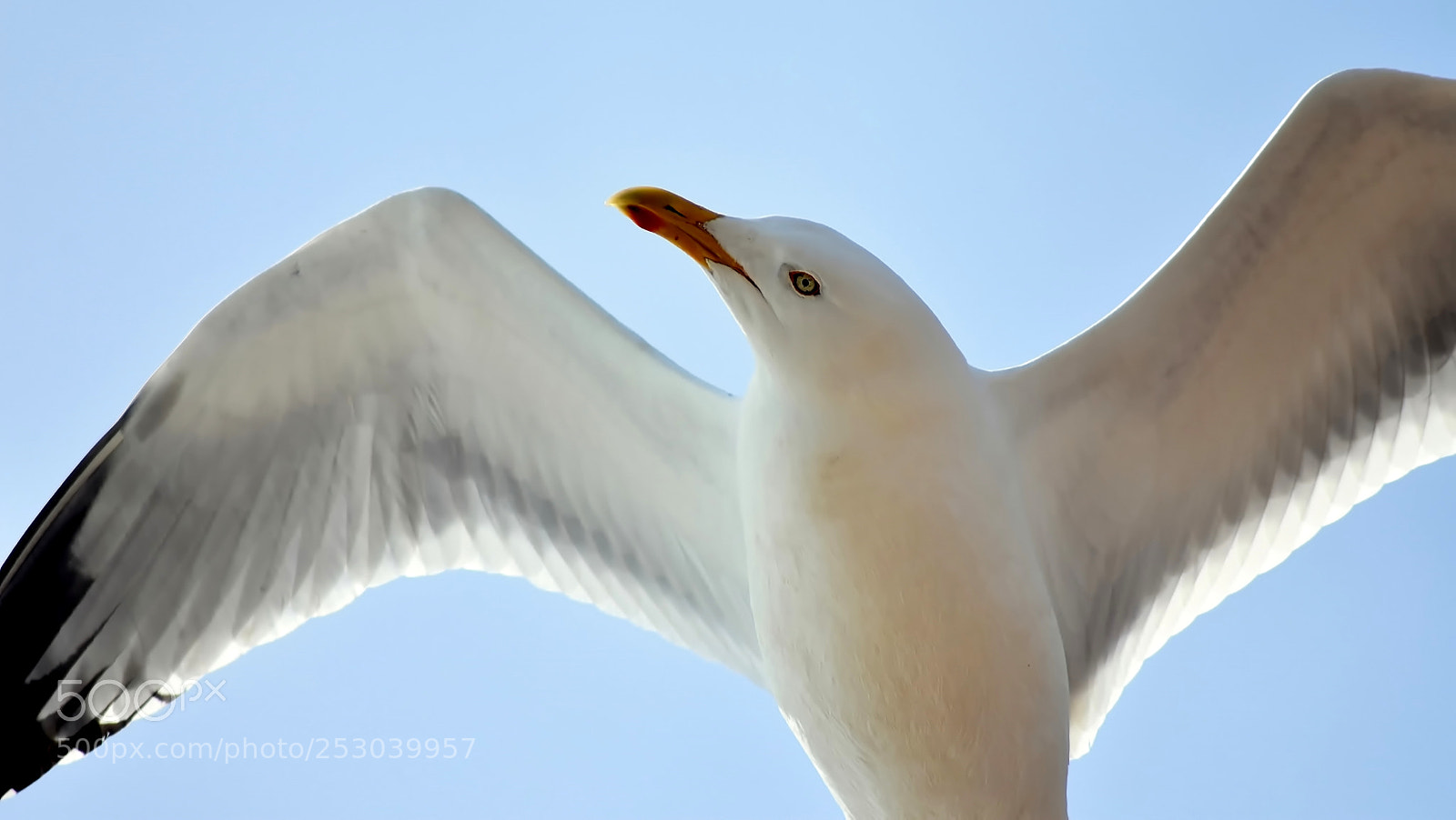 Nikon D3400 sample photo. Close encounter... :-) photography