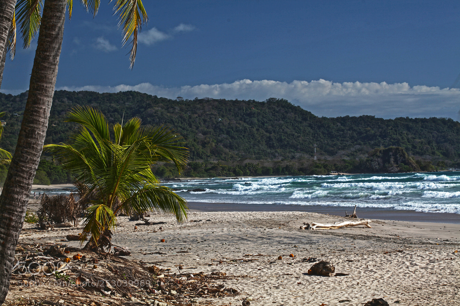 Canon EOS 5D Mark II sample photo. Costa rica photography