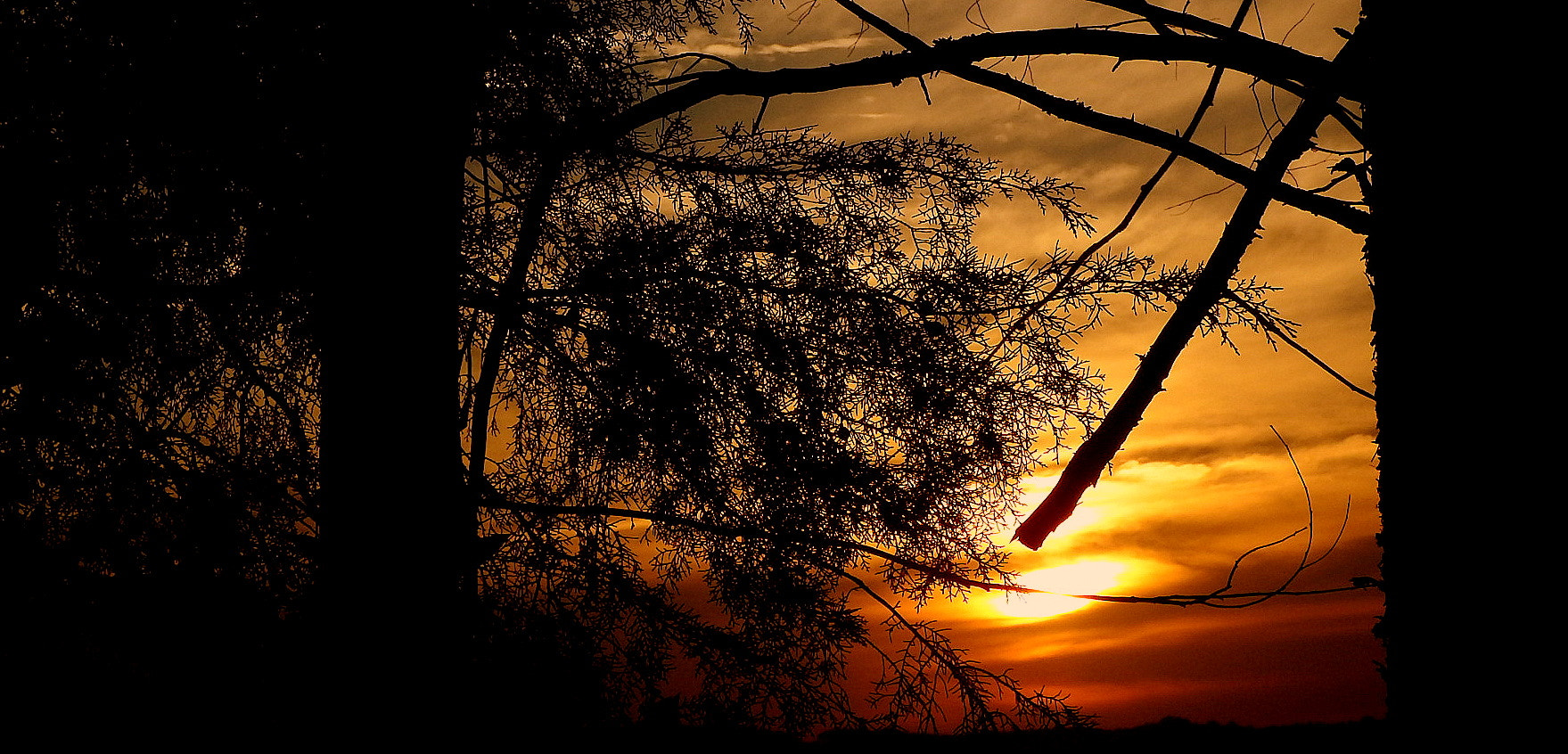Fujifilm FinePix SL1000 sample photo. Magic hour photography