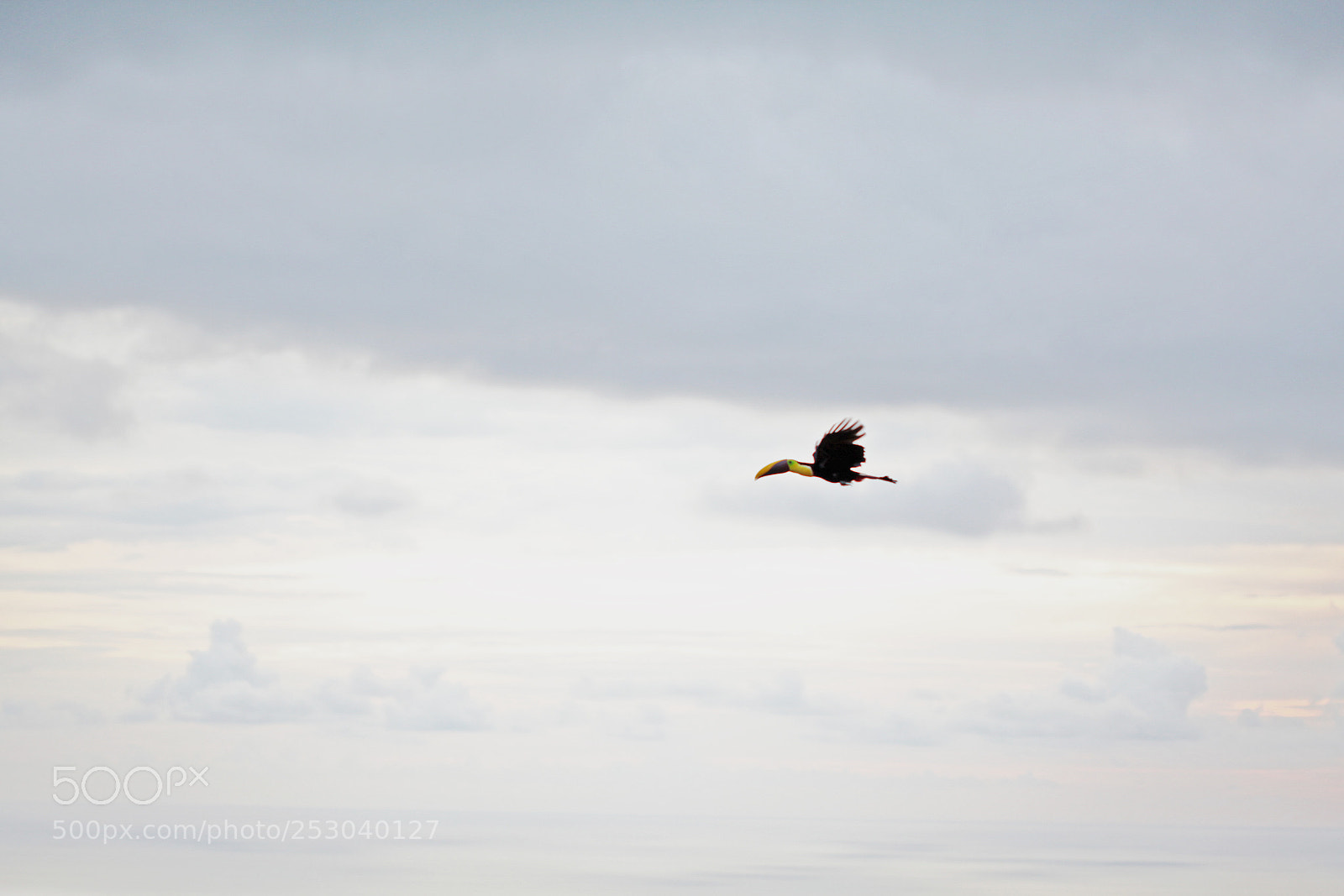 Canon EOS 5D Mark II sample photo. Costa rica photography