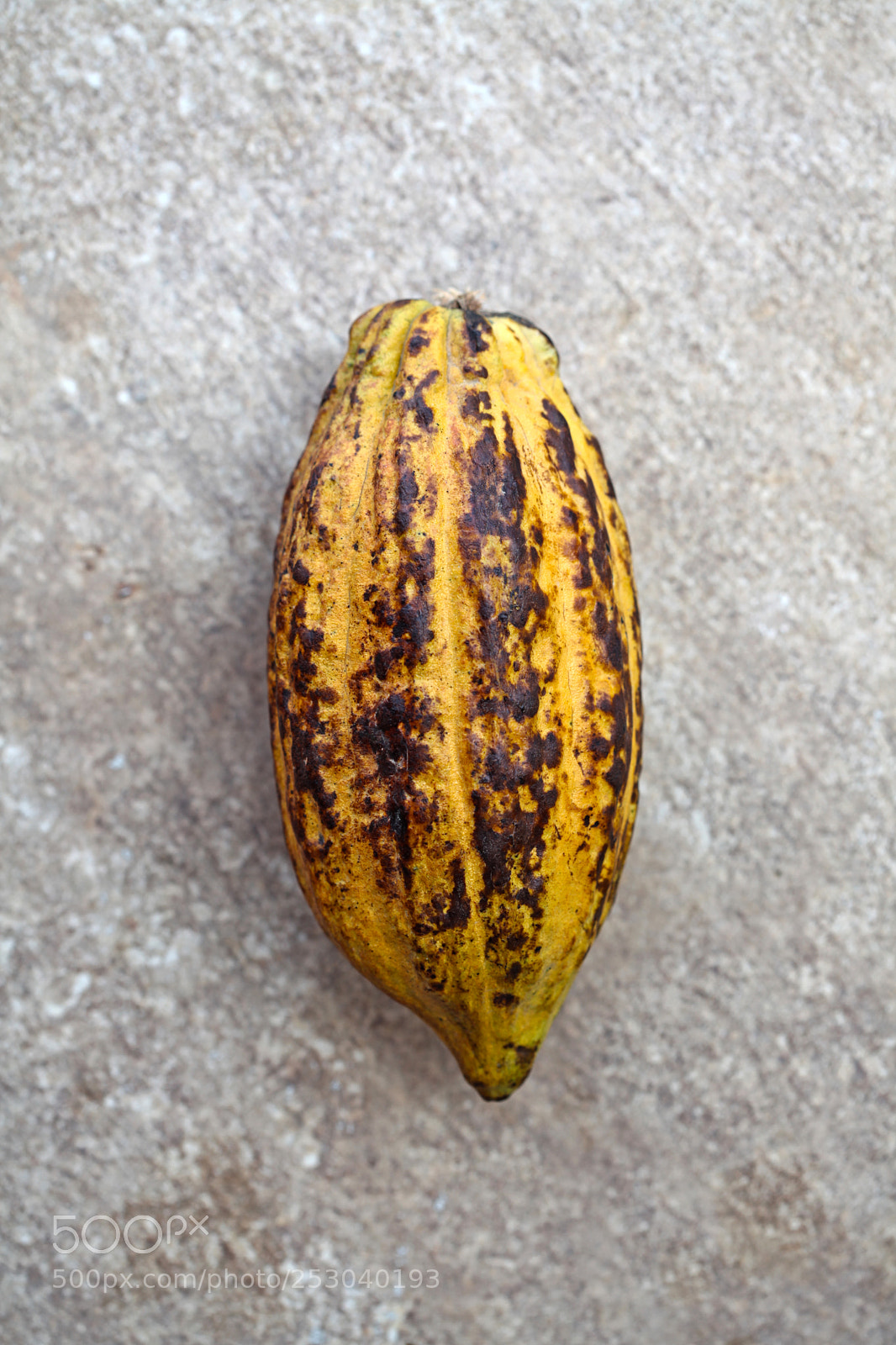 Canon EOS 5D Mark II sample photo. Costa rica photography