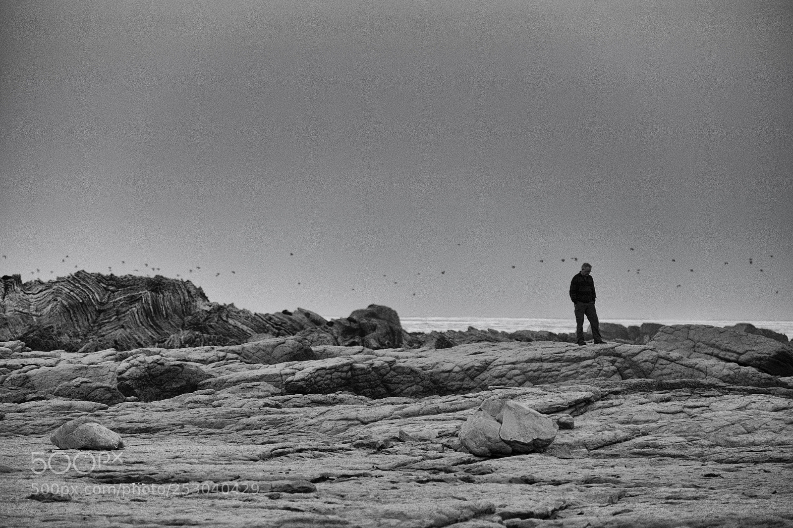 Fujifilm X-T10 sample photo. Introspection and flight photography