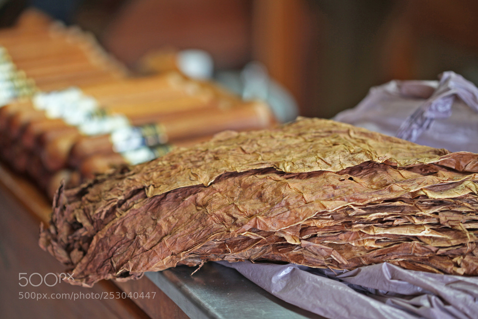 Canon EOS 5D Mark II sample photo. Costa rica photography