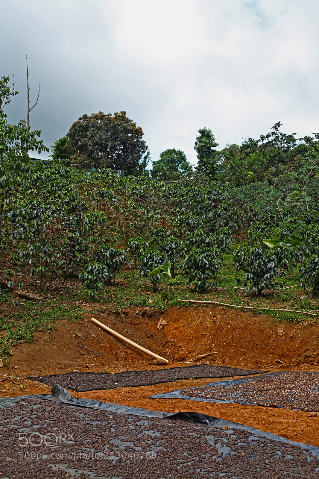 Canon EOS 5D Mark II sample photo. Costa rica photography