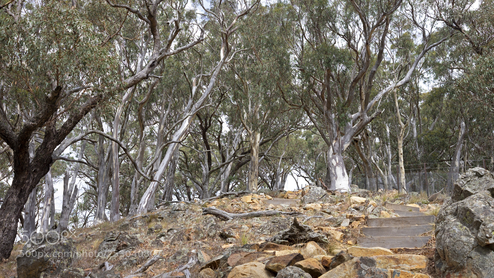Fujifilm X-T1 sample photo. Steps and rocks photography