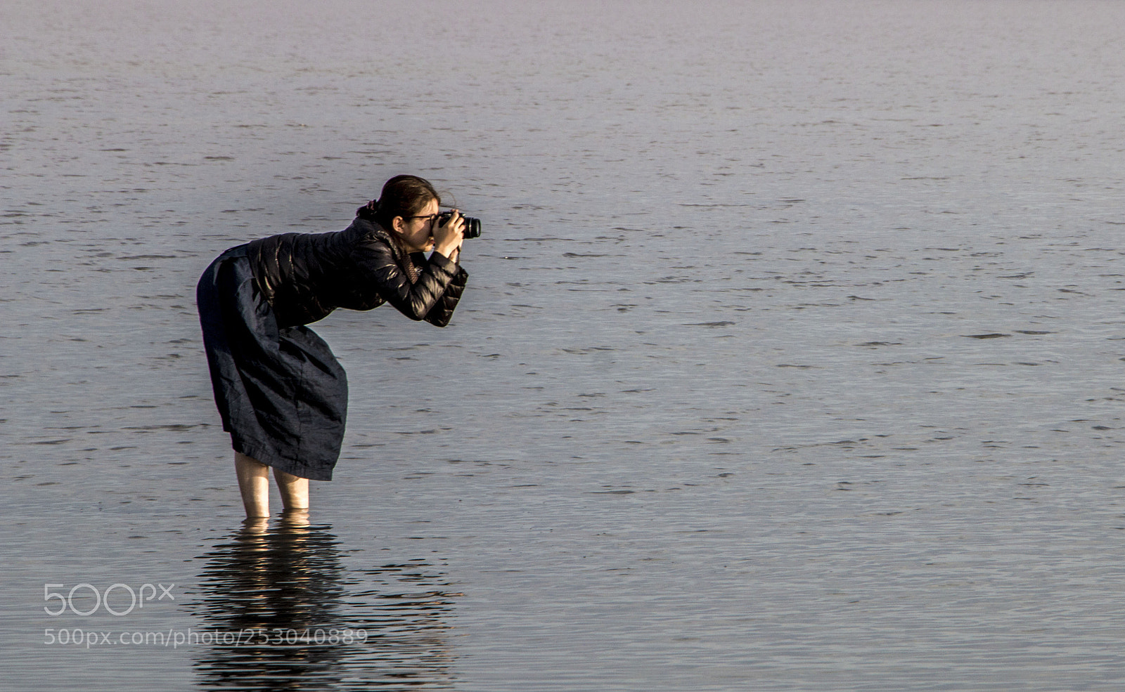 Canon EOS 70D sample photo. Photographer photography