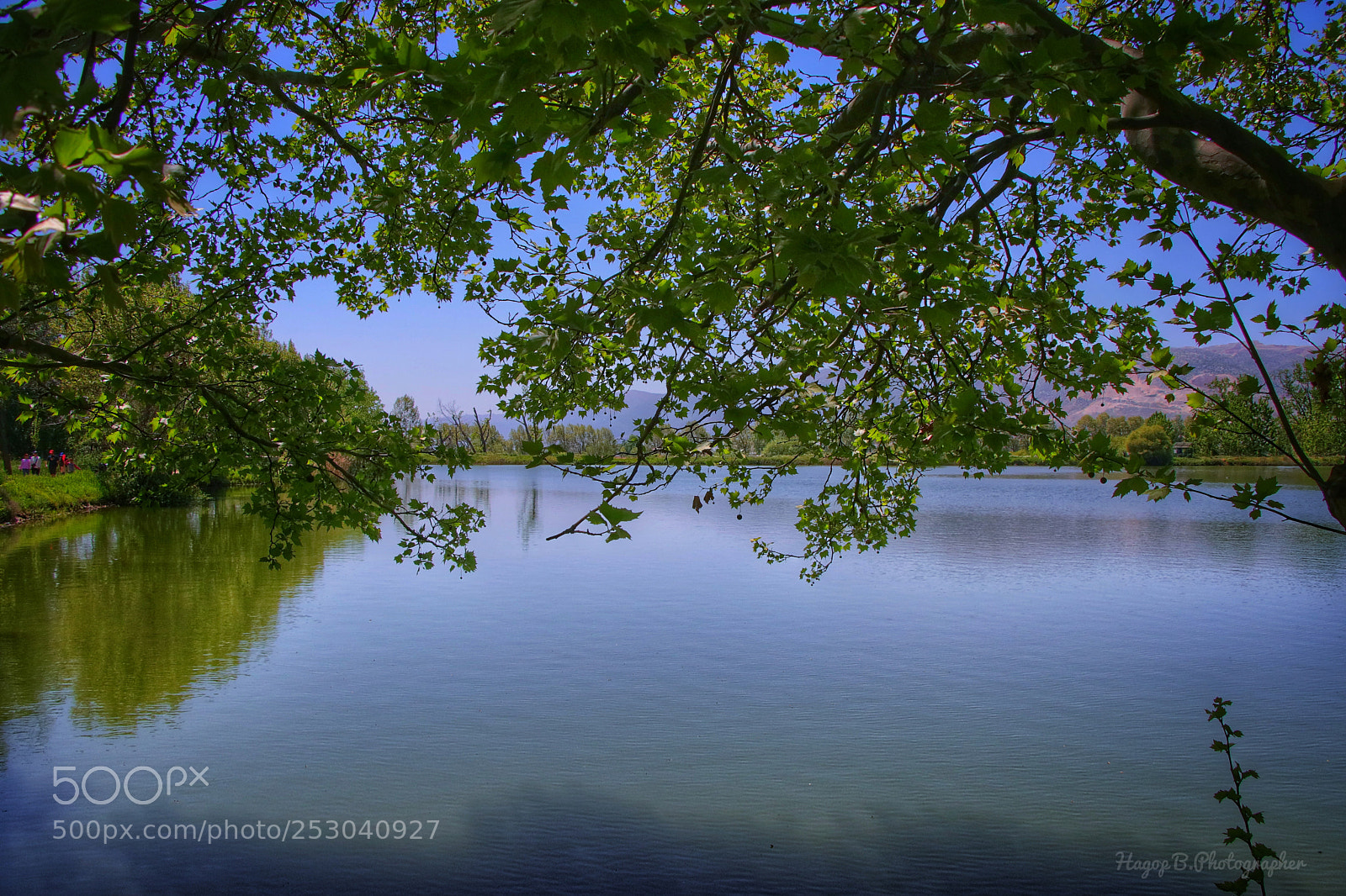 Canon EOS 80D sample photo. Green in spring photography