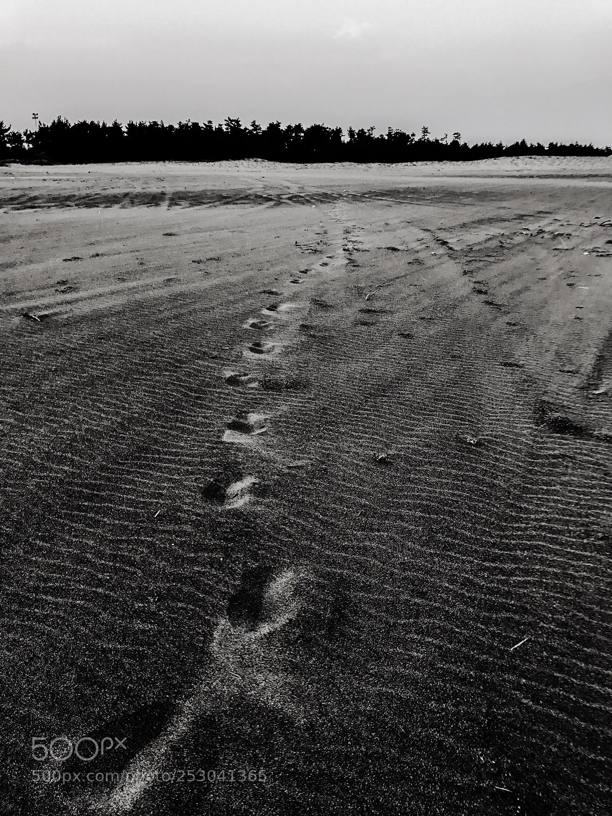 Apple iPhone 7 sample photo. Earth, wind and footprints photography