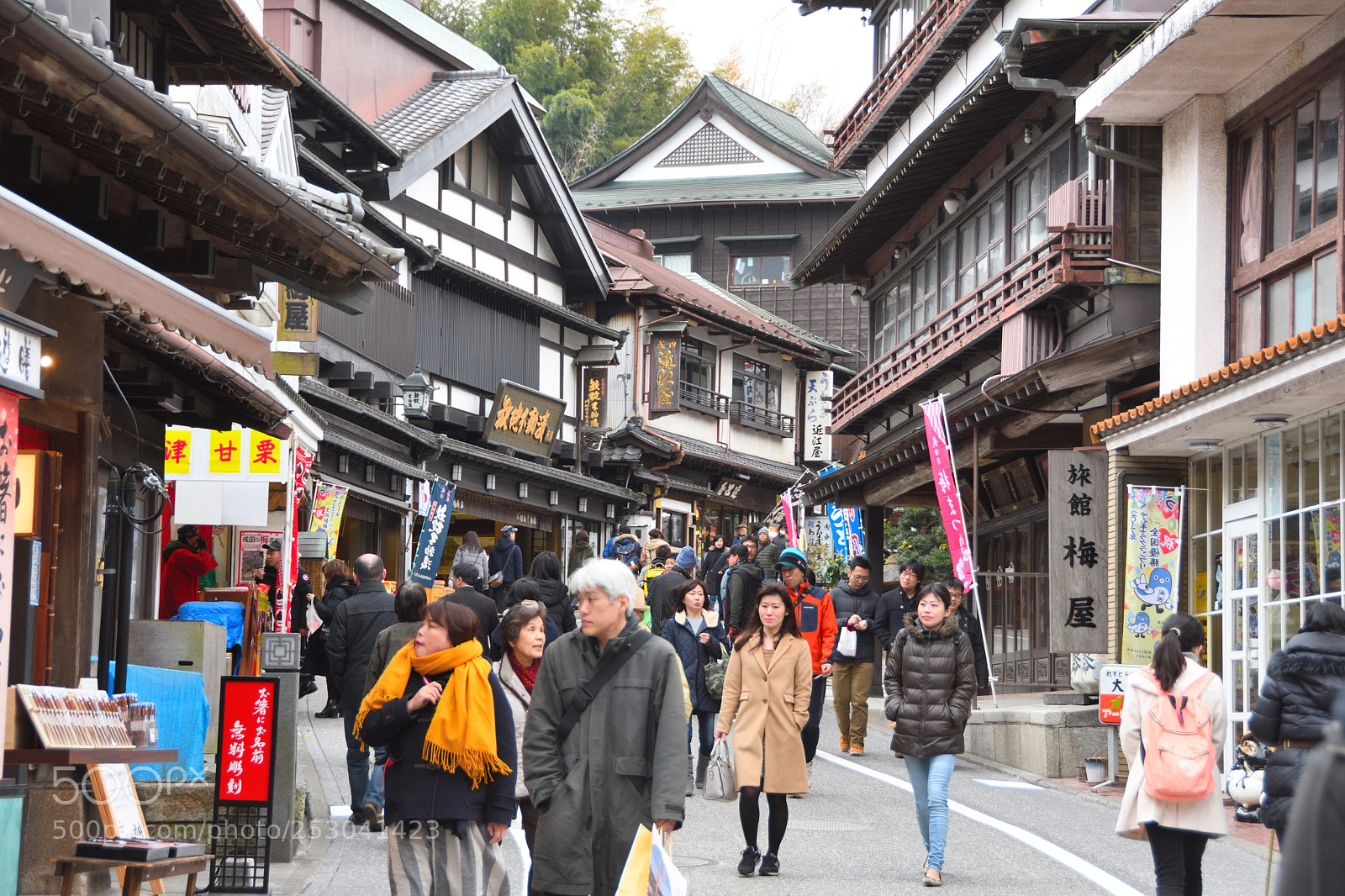 Nikon D7500 sample photo. Naritasan photography