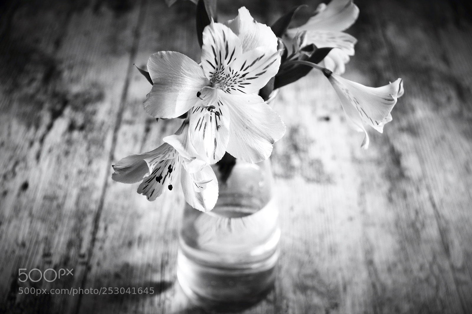 Canon EOS 70D sample photo. Grey days photography