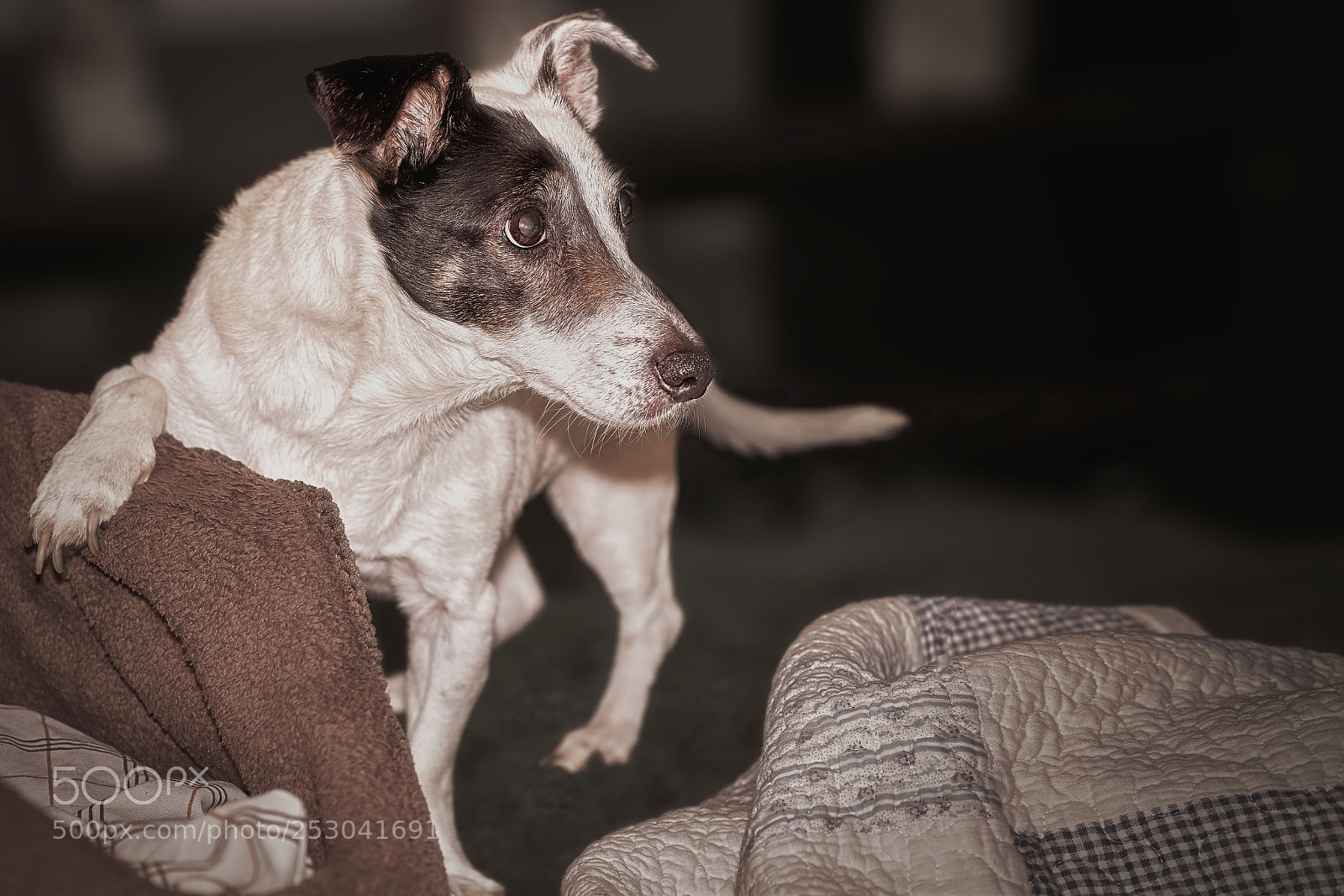 Sony a6000 sample photo. Bed or walk photography