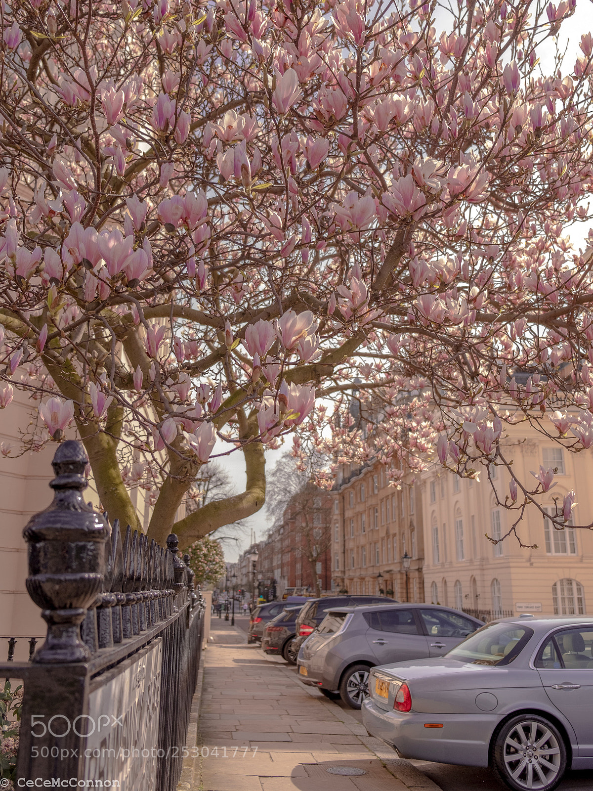 Fujifilm X-T2 sample photo. London in pink shade! photography