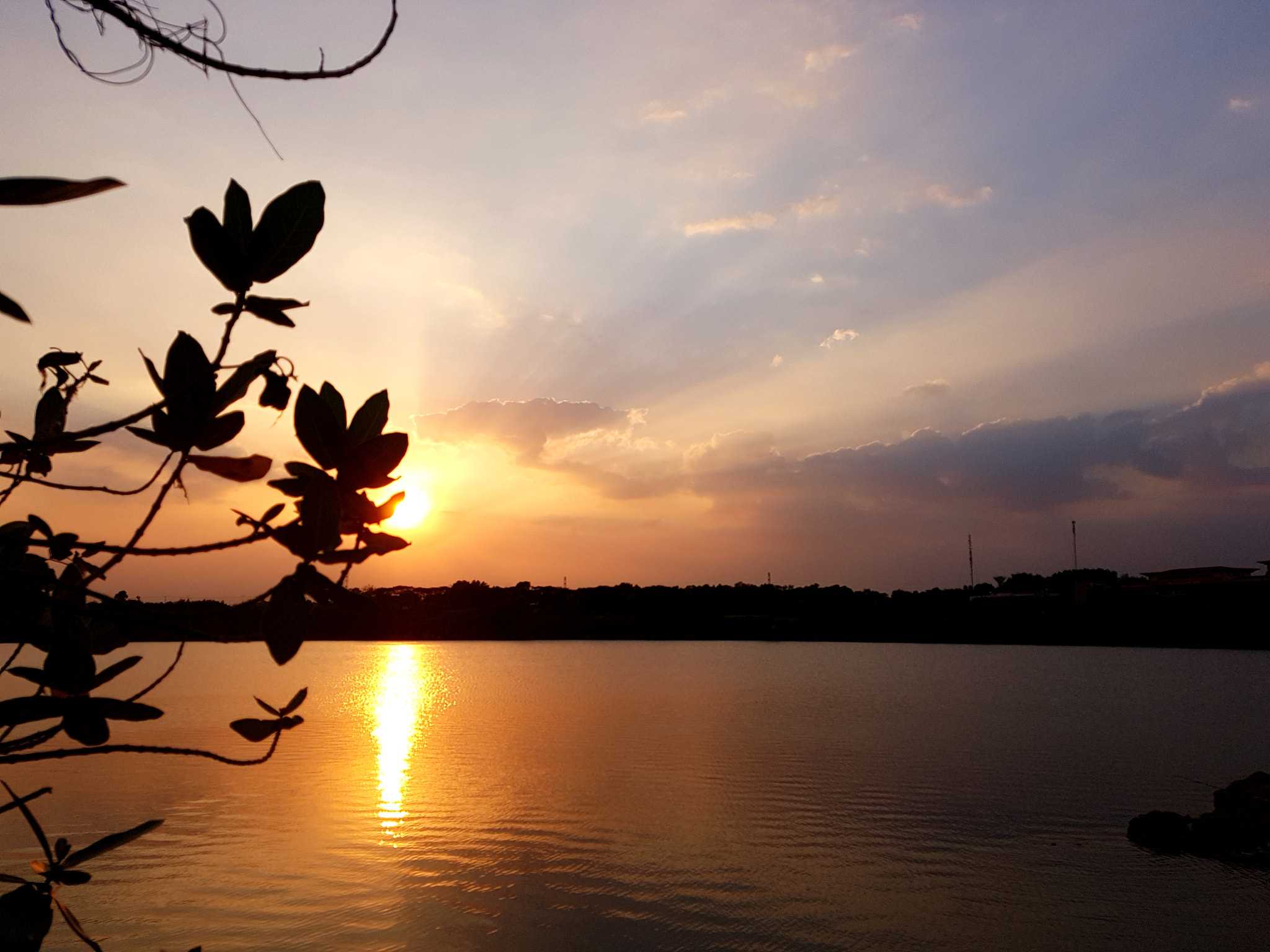 Samsung Galaxy Note Fan Edition sample photo. Sun photography