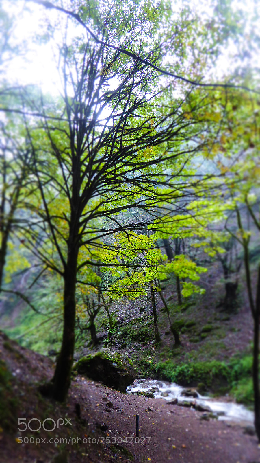 Panasonic Lumix DMC-ZS50 (Lumix DMC-TZ70) sample photo. Qalah rhudkhan photography