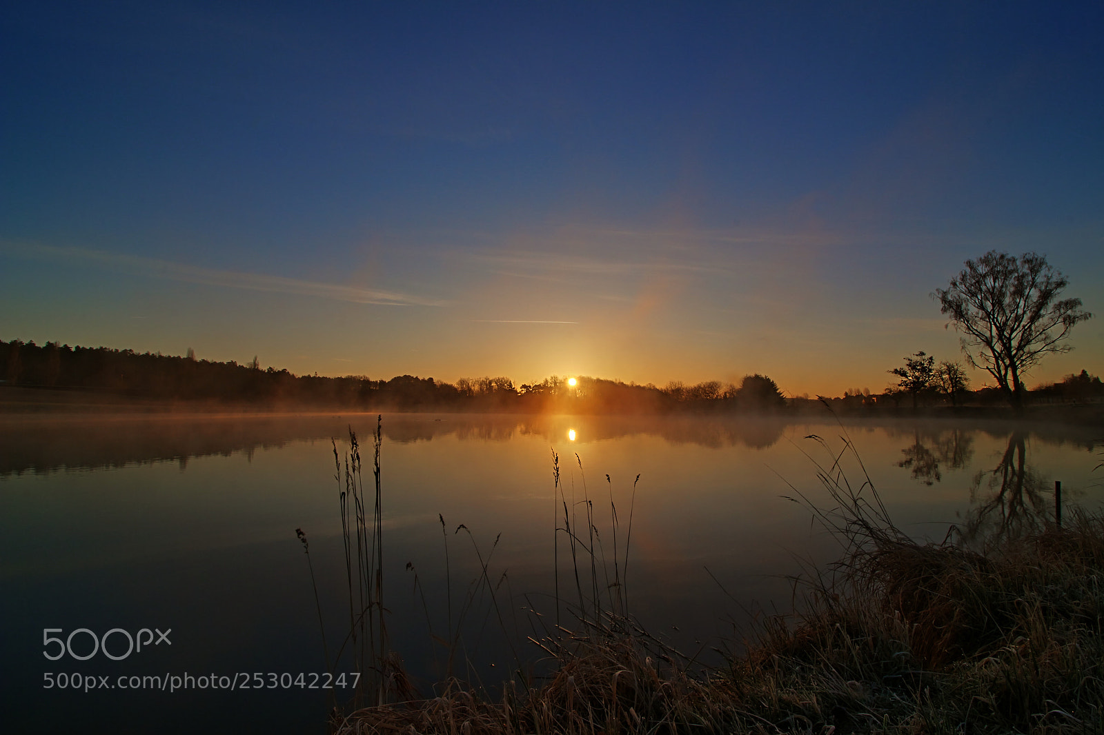 Canon EOS 700D (EOS Rebel T5i / EOS Kiss X7i) sample photo. Spring sunrise photography