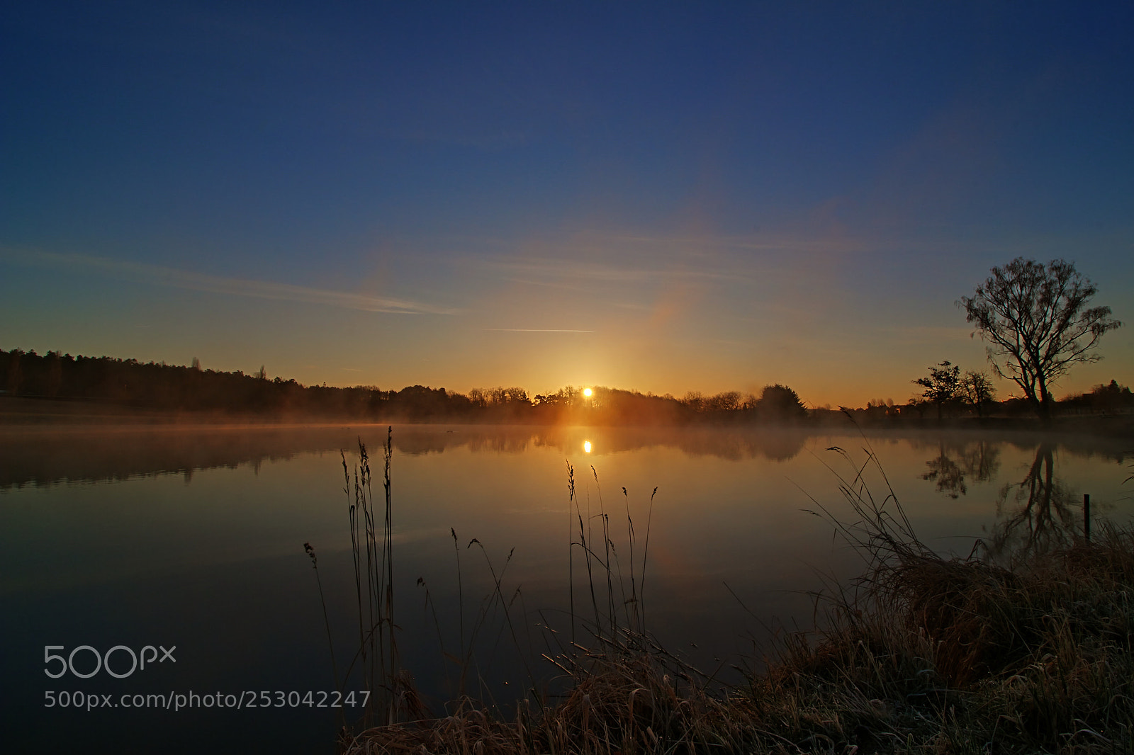 Canon EOS 700D (EOS Rebel T5i / EOS Kiss X7i) sample photo. Spring sunrise photography