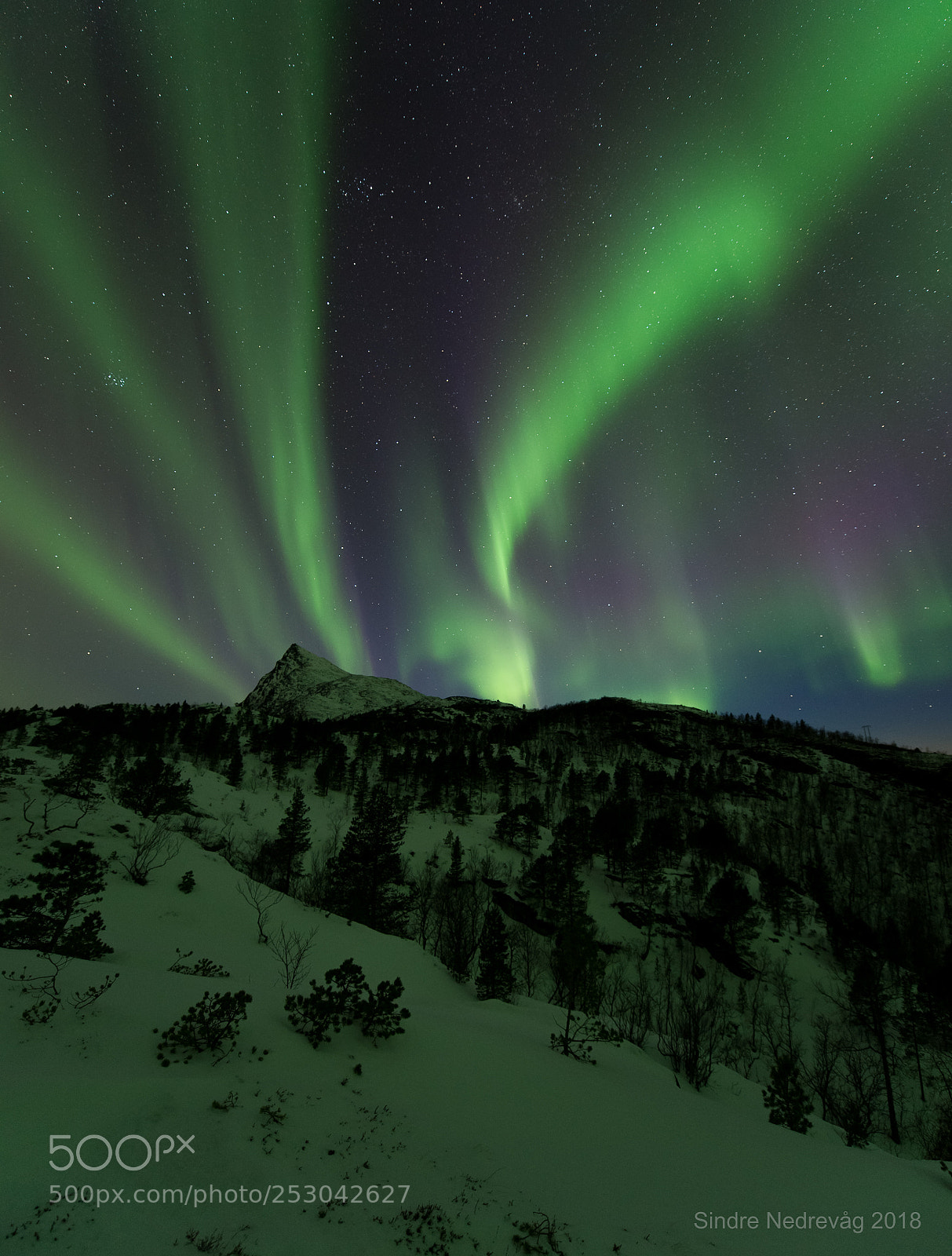 Nikon D4 sample photo. Northern lights above valviktind photography