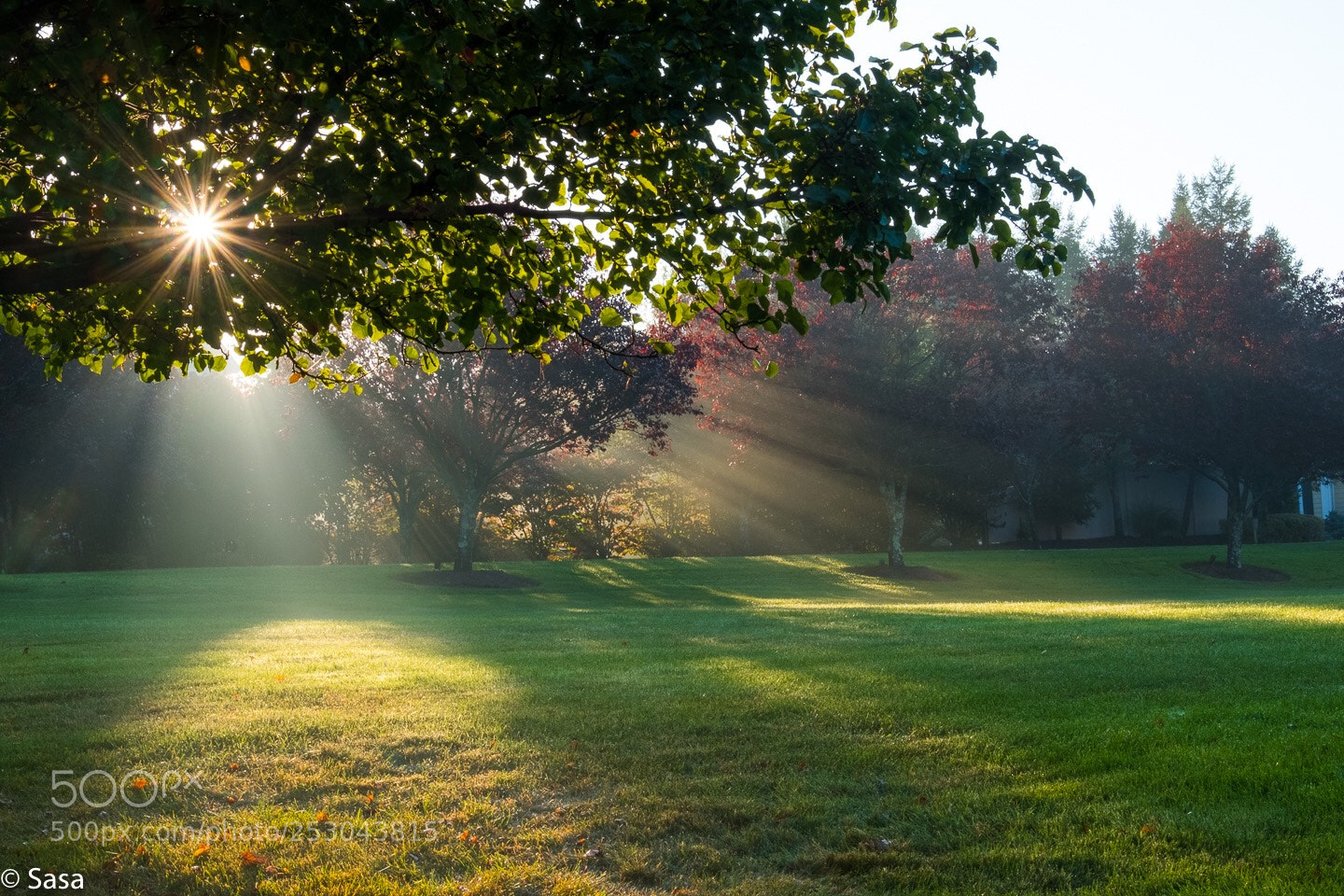 Fujifilm X-Pro2 sample photo. Morning lights photography