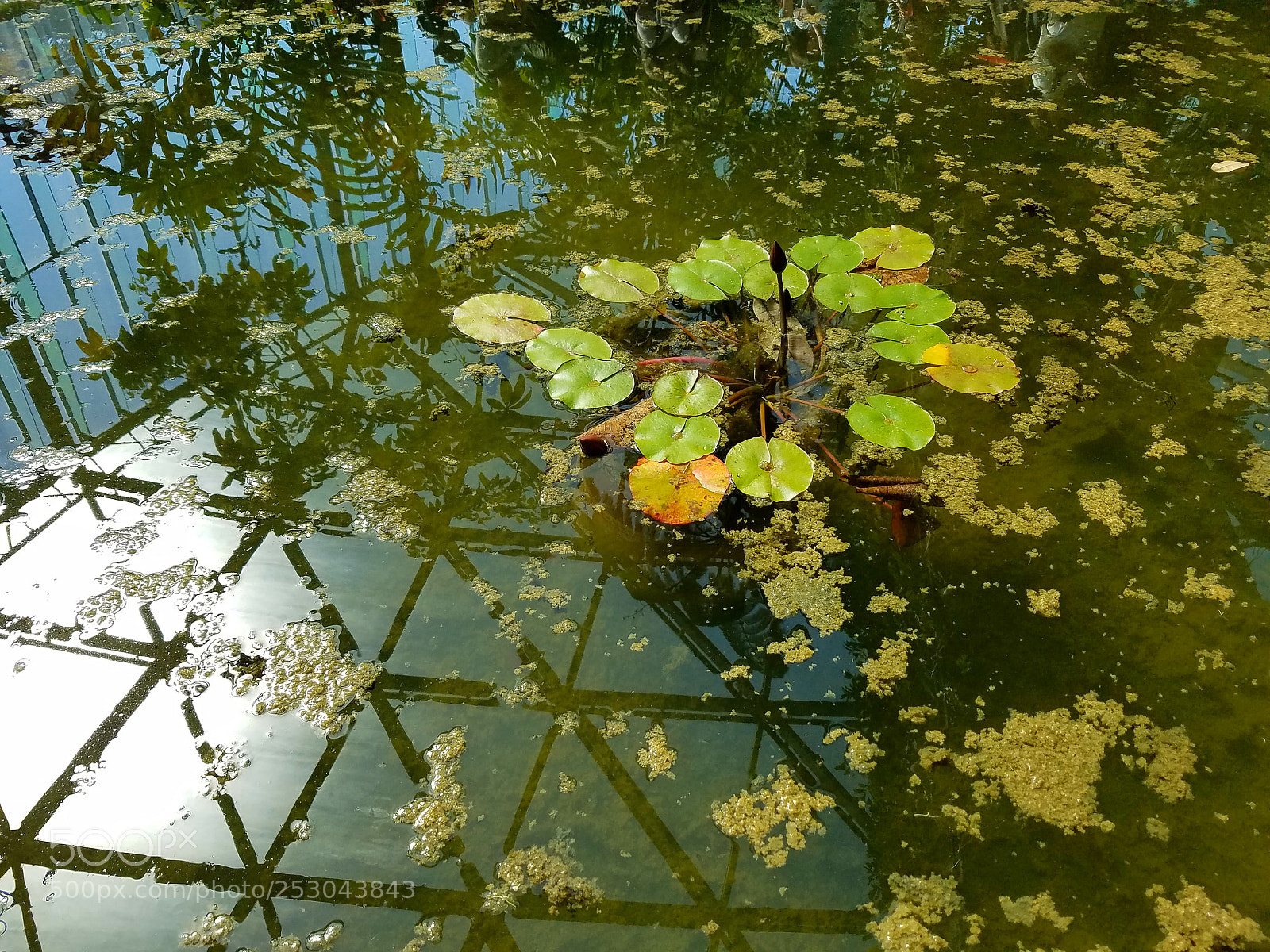 Samsung Galaxy S7 Edge sample photo. Untitled photography