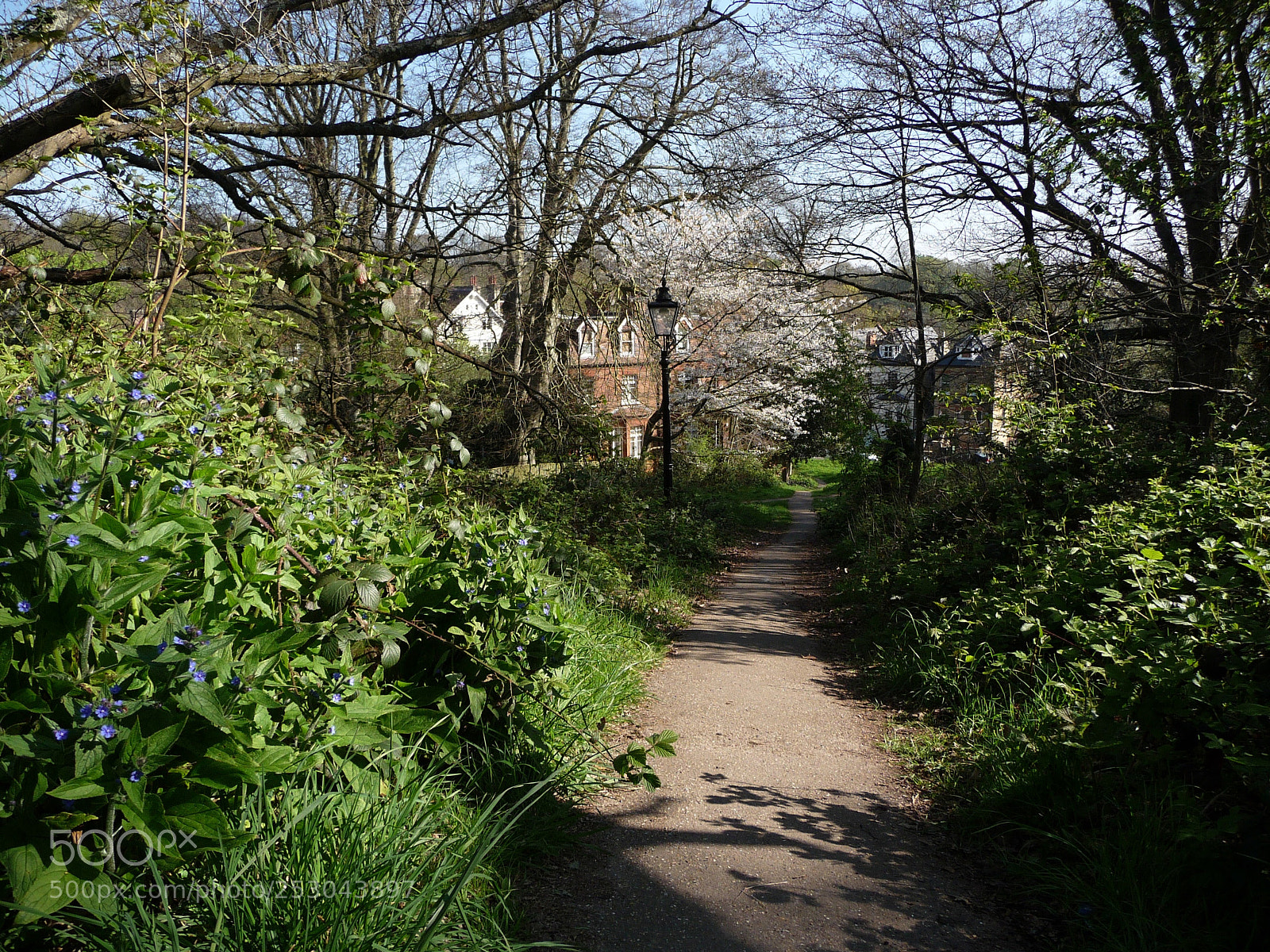 Panasonic Lumix DMC-TZ5 sample photo. Hampstead heath photography