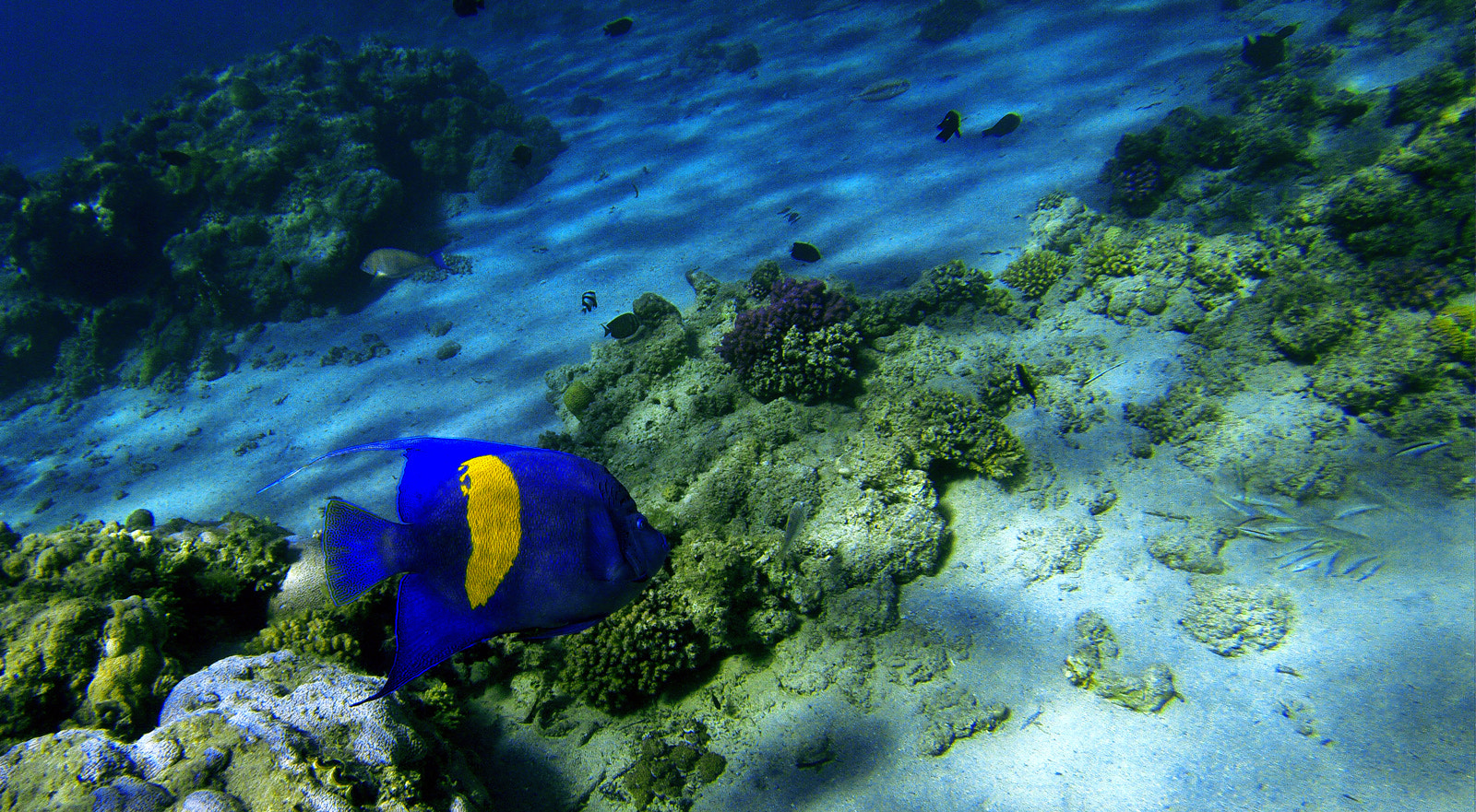 GoPro HERO3+ Black Edition sample photo. Dcim\100gopro photography